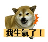 774028866