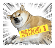 774028867