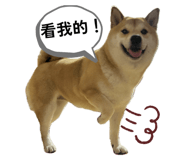 774028871