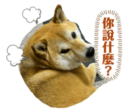 774028878