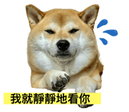 774028880