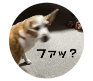 774031788