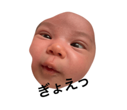 774031957
