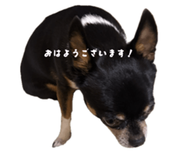 774033568