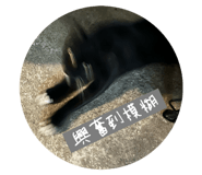 774034148