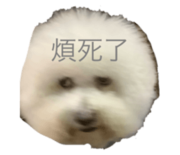 774034576