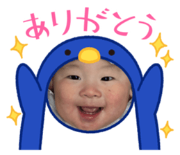 774036621
