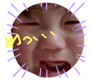 774038081