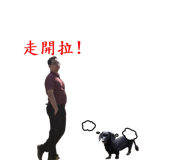 774055116