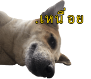774059065
