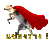 774059068