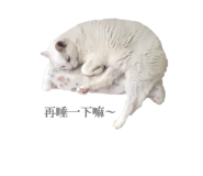 774086092