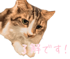 774088350