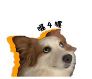 774089701