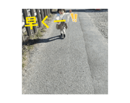 774090310