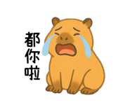 774091855