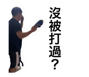 774094393