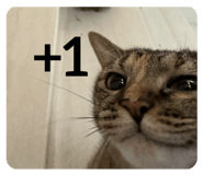 774106576
