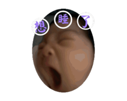 774117679