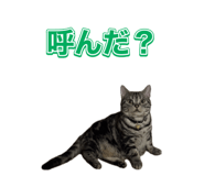 774118825