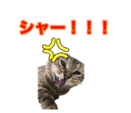 774118827