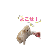 774118830