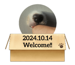 774121300