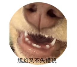 774130804