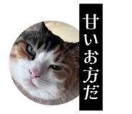 774134073