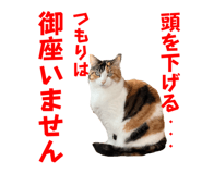 774134075