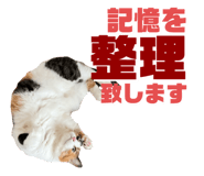 774134077