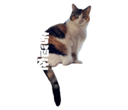 774134078
