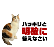 774134080