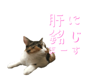 774134086