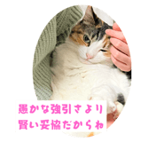774134088