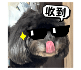 774155975