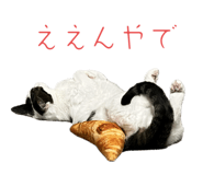 774176618
