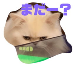 774177219