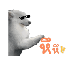 774203660