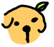 774205508