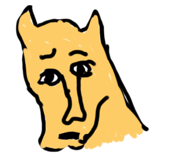 774205509