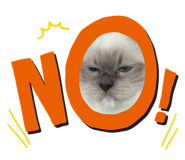 774221078
