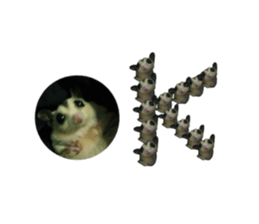 774221290