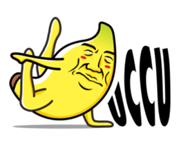 7742254