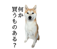 774243732