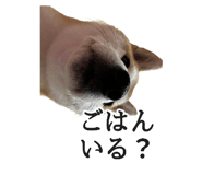 774243733