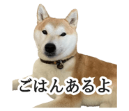 774243734