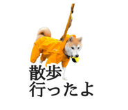774243735