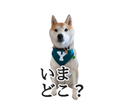 774243736