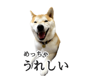 774243737